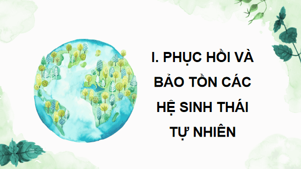 Giáo án điện tử Sinh 12 Chân trời sáng tạo Bài 27: Sinh thái học phục hồi và bảo tồn | PPT Sinh học 12