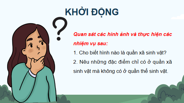 Giáo án điện tử Sinh 12 Kết nối tri thức Bài 27: Thực hành: Tìm hiểu cấu trúc dinh dưỡng của quần xã trong tự nhiên | PPT Sinh học 12