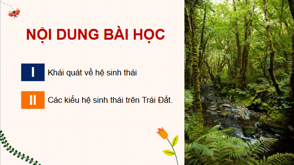 Giáo án điện tử Sinh 12 Kết nối tri thức Bài 28: Hệ sinh thái | PPT Sinh học 12