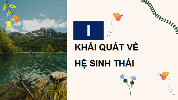 Giáo án điện tử Sinh 12 Kết nối tri thức Bài 28: Hệ sinh thái | PPT Sinh học 12