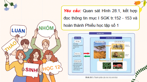 Giáo án điện tử Sinh 12 Kết nối tri thức Bài 28: Hệ sinh thái | PPT Sinh học 12