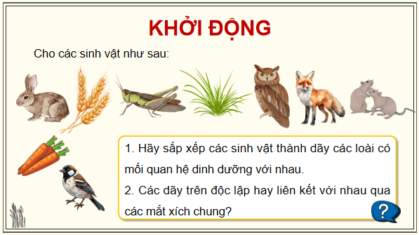 Giáo án điện tử Sinh 12 Kết nối tri thức Bài 29: Trao đổi vật chất và chuyển hoá năng lượng trong hệ sinh thái | PPT Sinh học 12
