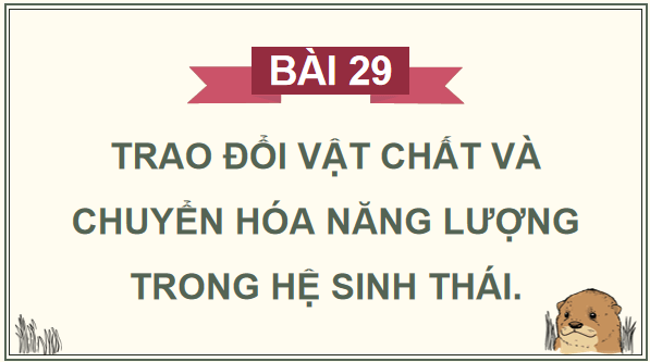Giáo án điện tử Sinh 12 Kết nối tri thức Bài 29: Trao đổi vật chất và chuyển hoá năng lượng trong hệ sinh thái | PPT Sinh học 12
