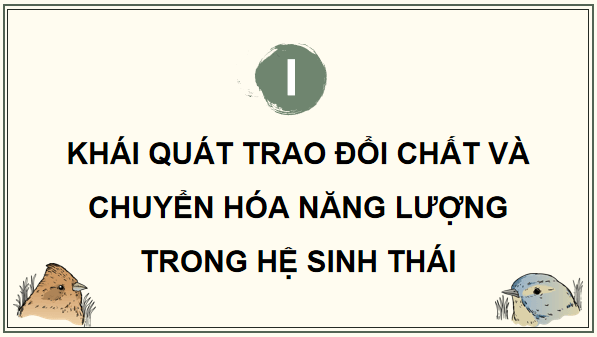 Giáo án điện tử Sinh 12 Kết nối tri thức Bài 29: Trao đổi vật chất và chuyển hoá năng lượng trong hệ sinh thái | PPT Sinh học 12