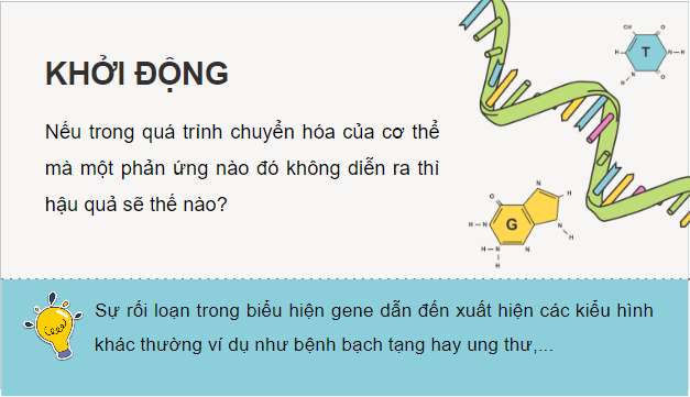 Giáo án điện tử Sinh 12 Cánh diều Bài 3: Điều hòa biểu hiện gene | PPT Sinh học 12