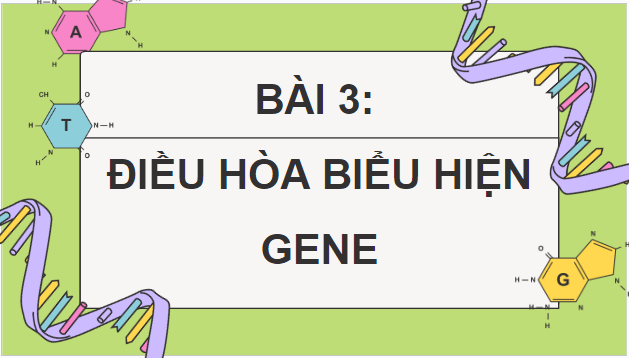 Giáo án điện tử Sinh 12 Cánh diều Bài 3: Điều hòa biểu hiện gene | PPT Sinh học 12