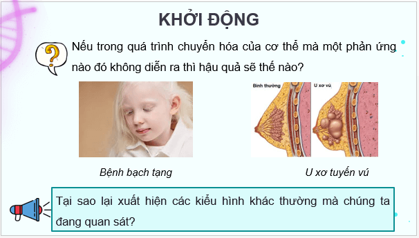 Giáo án điện tử Sinh 12 Chân trời sáng tạo Bài 3: Điều hoà biểu hiện gene | PPT Sinh học 12