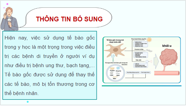 Giáo án điện tử Sinh 12 Chân trời sáng tạo Bài 3: Điều hoà biểu hiện gene | PPT Sinh học 12