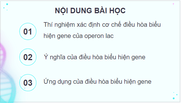 Giáo án điện tử Sinh 12 Chân trời sáng tạo Bài 3: Điều hoà biểu hiện gene | PPT Sinh học 12