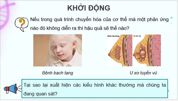 Giáo án điện tử Sinh 12 Kết nối tri thức Bài 3: Điều hoà biểu hiện gene | PPT Sinh học 12