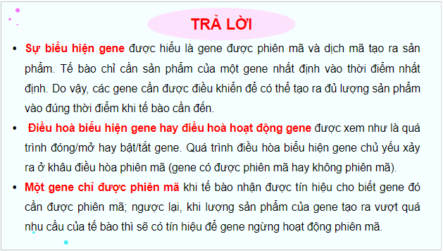 Giáo án điện tử Sinh 12 Kết nối tri thức Bài 3: Điều hoà biểu hiện gene | PPT Sinh học 12