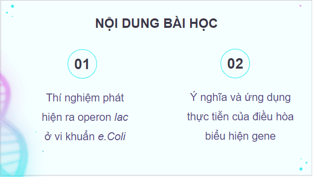 Giáo án điện tử Sinh 12 Kết nối tri thức Bài 3: Điều hoà biểu hiện gene | PPT Sinh học 12