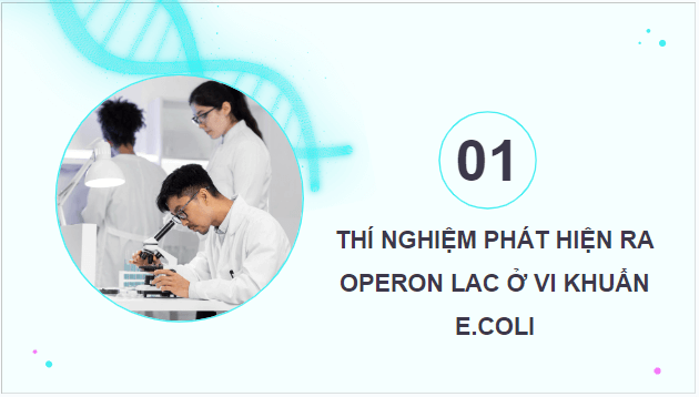 Giáo án điện tử Sinh 12 Kết nối tri thức Bài 3: Điều hoà biểu hiện gene | PPT Sinh học 12