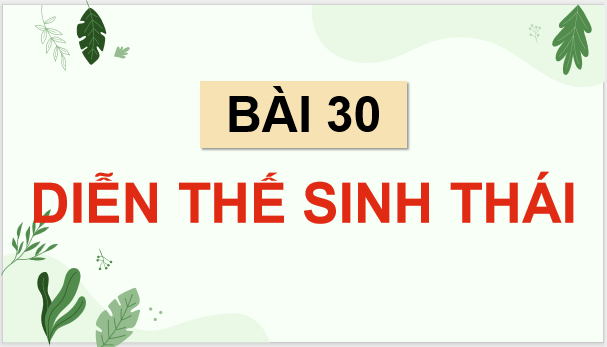 Giáo án điện tử Sinh 12 Kết nối tri thức Bài 30: Diễn thế sinh thái | PPT Sinh học 12