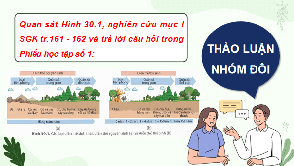 Giáo án điện tử Sinh 12 Kết nối tri thức Bài 30: Diễn thế sinh thái | PPT Sinh học 12