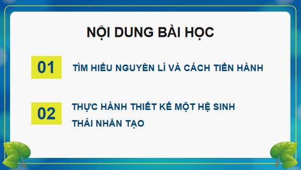Giáo án điện tử Sinh 12 Kết nối tri thức Bài 32: Thực hành: Thiết kế một hệ sinh thái nhân tạo | PPT Sinh học 12