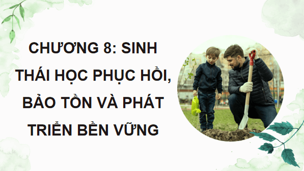 Giáo án điện tử Sinh 12 Kết nối tri thức Bài 33: Sinh thái học phục hồi và bảo tồn đa dạng sinh vật | PPT Sinh học 12