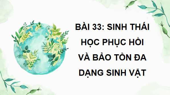 Giáo án điện tử Sinh 12 Kết nối tri thức Bài 33: Sinh thái học phục hồi và bảo tồn đa dạng sinh vật | PPT Sinh học 12
