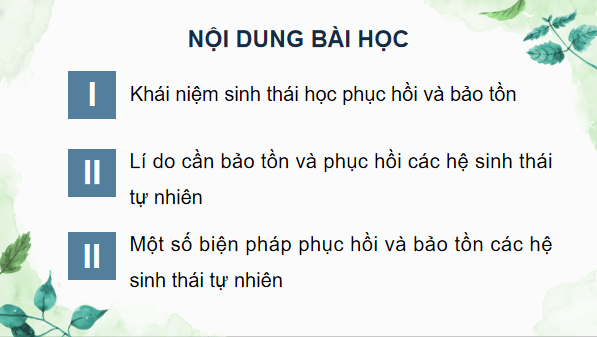 Giáo án điện tử Sinh 12 Kết nối tri thức Bài 33: Sinh thái học phục hồi và bảo tồn đa dạng sinh vật | PPT Sinh học 12