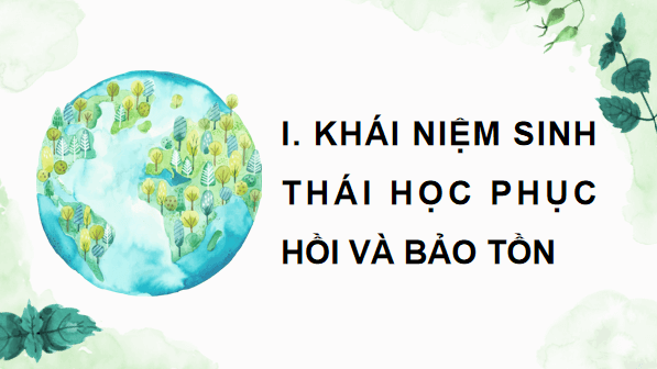 Giáo án điện tử Sinh 12 Kết nối tri thức Bài 33: Sinh thái học phục hồi và bảo tồn đa dạng sinh vật | PPT Sinh học 12