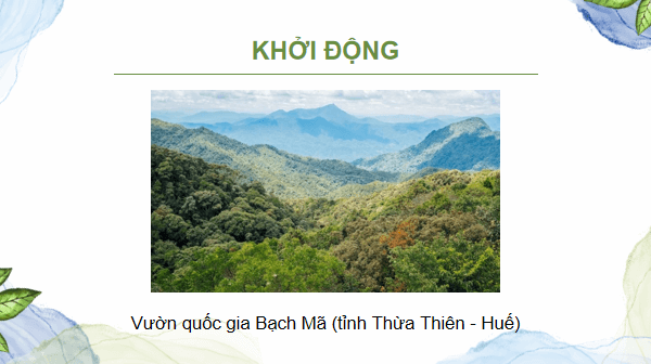 Giáo án điện tử Sinh 12 Kết nối tri thức Bài 35: Dự án: Tìm hiểu thực trạng bảo tồn sinh thái tại địa phương và đề xuất giải pháp bảo tồn | PPT Sinh học 12