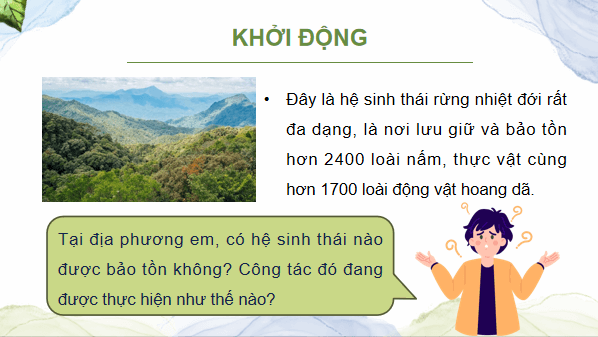 Giáo án điện tử Sinh 12 Kết nối tri thức Bài 35: Dự án: Tìm hiểu thực trạng bảo tồn sinh thái tại địa phương và đề xuất giải pháp bảo tồn | PPT Sinh học 12