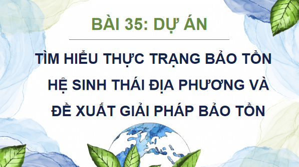 Giáo án điện tử Sinh 12 Kết nối tri thức Bài 35: Dự án: Tìm hiểu thực trạng bảo tồn sinh thái tại địa phương và đề xuất giải pháp bảo tồn | PPT Sinh học 12