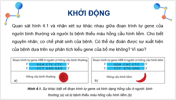 Giáo án điện tử Sinh 12 Cánh diều Bài 4: Đột biến gene | PPT Sinh học 12