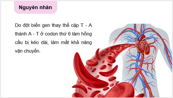 Giáo án điện tử Sinh 12 Cánh diều Bài 4: Đột biến gene | PPT Sinh học 12