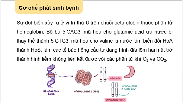 Giáo án điện tử Sinh 12 Cánh diều Bài 4: Đột biến gene | PPT Sinh học 12