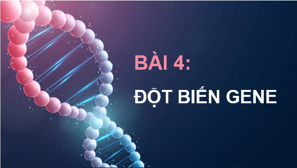 Giáo án điện tử Sinh 12 Cánh diều Bài 4: Đột biến gene | PPT Sinh học 12