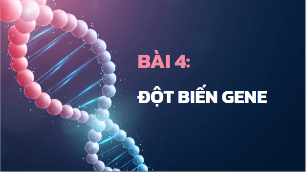 Giáo án điện tử Sinh 12 Kết nối tri thức Bài 4: Đột biến gene | PPT Sinh học 12