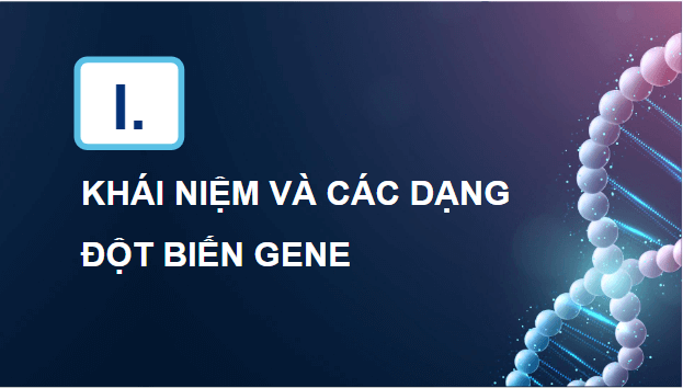 Giáo án điện tử Sinh 12 Kết nối tri thức Bài 4: Đột biến gene | PPT Sinh học 12