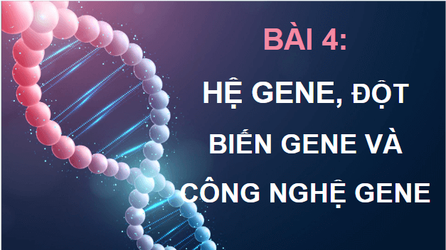 Giáo án điện tử Sinh 12 Chân trời sáng tạo Bài 4: Hệ gene, đột biến gene và công nghệ gene | PPT Sinh học 12