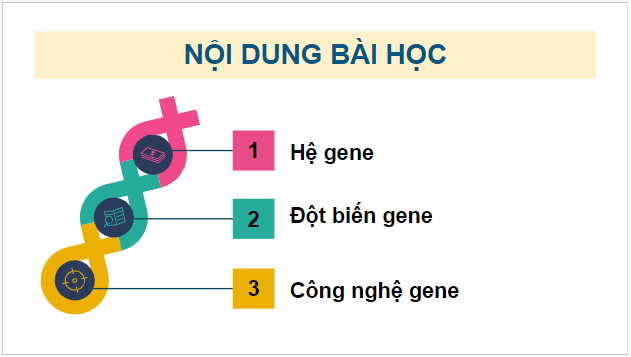 Giáo án điện tử Sinh 12 Chân trời sáng tạo Bài 4: Hệ gene, đột biến gene và công nghệ gene | PPT Sinh học 12