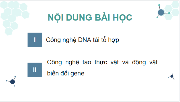 Giáo án điện tử Sinh 12 Kết nối tri thức Bài 5: Công nghệ di truyền | PPT Sinh học 12