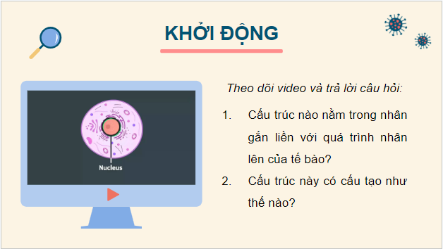 Giáo án điện tử Sinh 12 Cánh diều Bài 5: Nhiễm sắc thể và cơ chế di truyền nhiễm sắc thể | PPT Sinh học 12