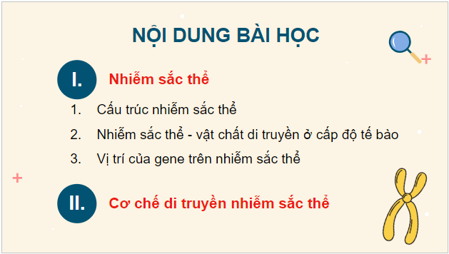 Giáo án điện tử Sinh 12 Cánh diều Bài 5: Nhiễm sắc thể và cơ chế di truyền nhiễm sắc thể | PPT Sinh học 12