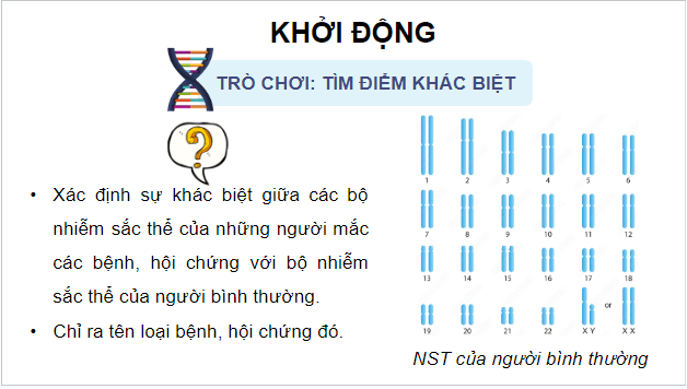 Giáo án điện tử Sinh 12 Chân trời sáng tạo Bài 5: Nhiễm sắc thể và đột biến nhiễm sắc thể | PPT Sinh học 12