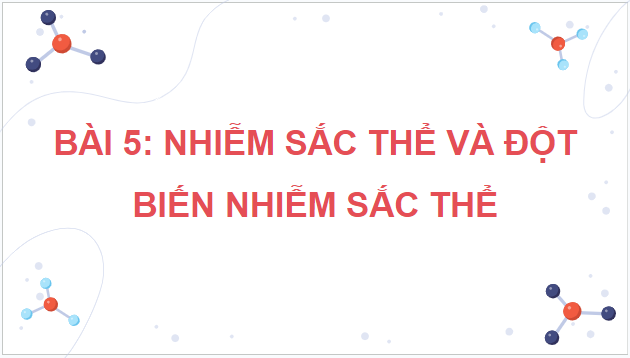 Giáo án điện tử Sinh 12 Chân trời sáng tạo Bài 5: Nhiễm sắc thể và đột biến nhiễm sắc thể | PPT Sinh học 12