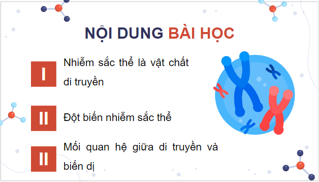 Giáo án điện tử Sinh 12 Chân trời sáng tạo Bài 5: Nhiễm sắc thể và đột biến nhiễm sắc thể | PPT Sinh học 12