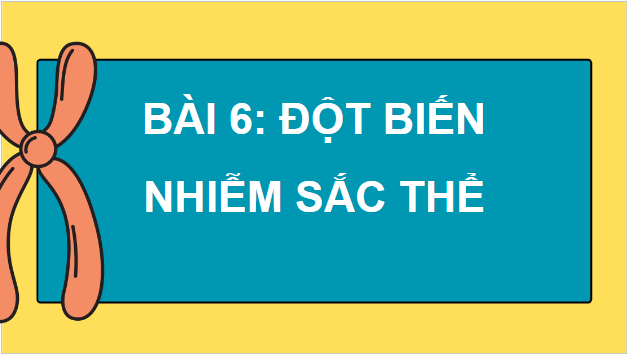 Giáo án điện tử Sinh 12 Cánh diều Bài 6: Đột biến nhiễm sắc thể | PPT Sinh học 12