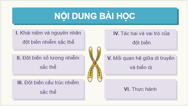 Giáo án điện tử Sinh 12 Cánh diều Bài 6: Đột biến nhiễm sắc thể | PPT Sinh học 12