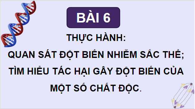 Giáo án điện tử Sinh 12 Chân trời sáng tạo Bài 6: Thực hành: Quan sát đột biến nhiễm sắc thể; Tìm hiểu tác hại gây đột biến của một số chất độc | PPT Sinh học 12