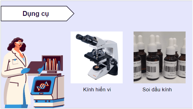 Giáo án điện tử Sinh 12 Chân trời sáng tạo Bài 6: Thực hành: Quan sát đột biến nhiễm sắc thể; Tìm hiểu tác hại gây đột biến của một số chất độc | PPT Sinh học 12