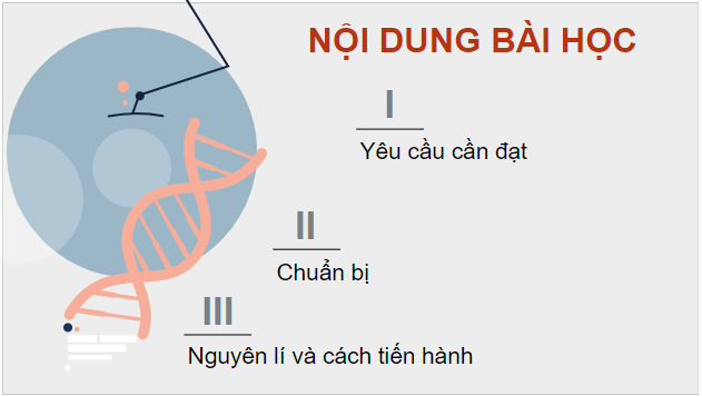 Giáo án điện tử Sinh 12 Kết nối tri thức Bài 6: Thực hành: Tách chiết DNA | PPT Sinh học 12