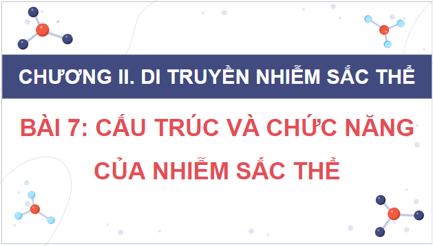 Giáo án điện tử Sinh 12 Kết nối tri thức Bài 7: Cấu trúc và chức năng của nhiễm sắc thể | PPT Sinh học 12