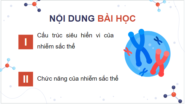 Giáo án điện tử Sinh 12 Kết nối tri thức Bài 7: Cấu trúc và chức năng của nhiễm sắc thể | PPT Sinh học 12