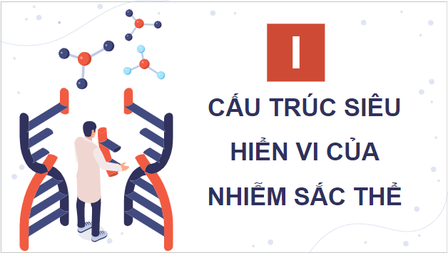 Giáo án điện tử Sinh 12 Kết nối tri thức Bài 7: Cấu trúc và chức năng của nhiễm sắc thể | PPT Sinh học 12