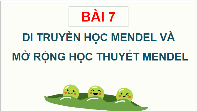 Giáo án điện tử Sinh 12 Chân trời sáng tạo Bài 7: Di truyền học Mendel và mở rộng học thuyết Mendel | PPT Sinh học 12